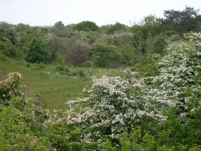 FormatFactorydeltapad 2013 215