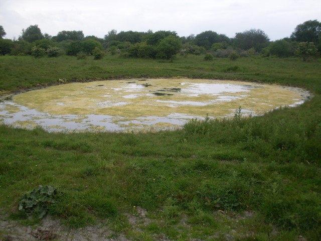 FormatFactorydeltapad 2013 242