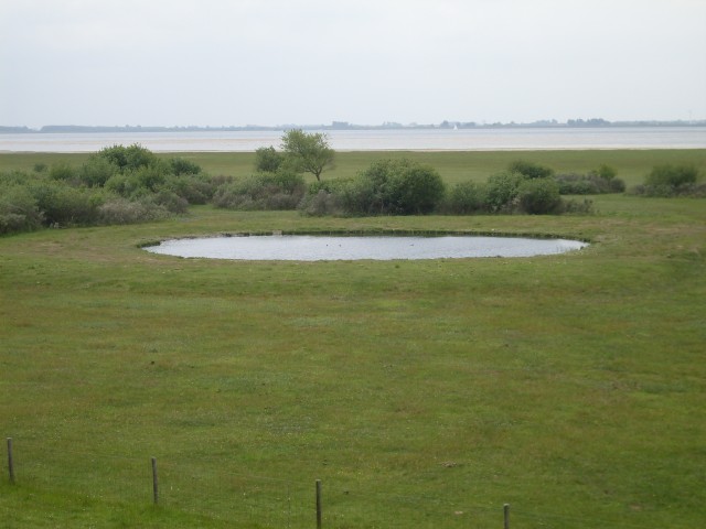 FormatFactorydeltapad 2013 243