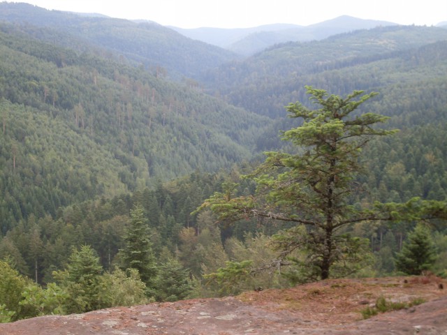 Abreschviller – Col De L’Engin (11)