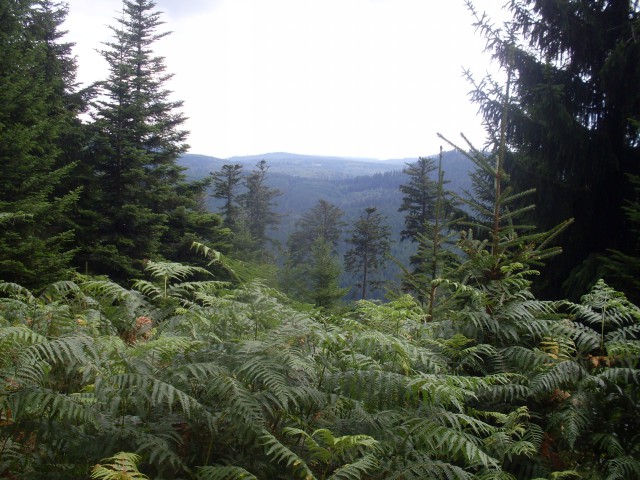 Abreschviller – Col De L’Engin (17)