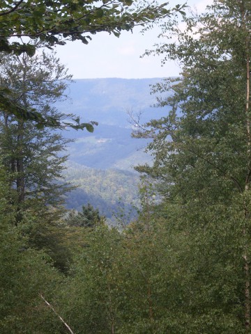 Ribeauvillé - Aubure (7)
