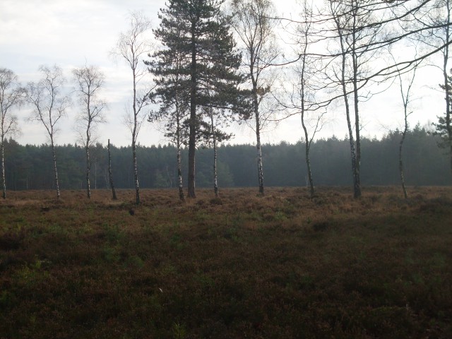 soesterberg doorn (9)