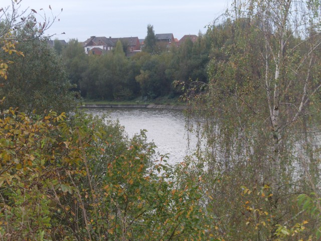 zutendaal - veldwezelt (22)