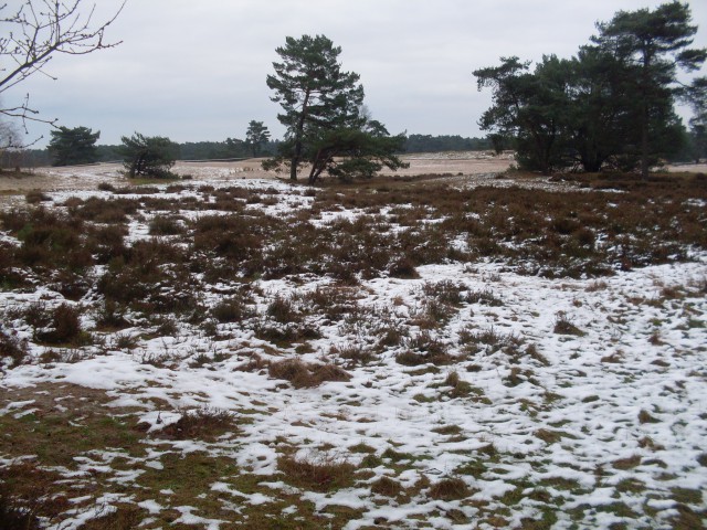 baarn soesterberg (23)