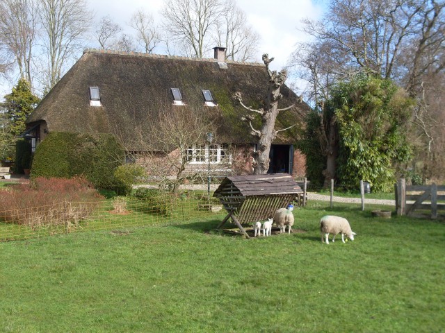 naarden baarn (5)