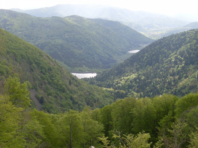ballon d alsace - evette-salbert (12)
