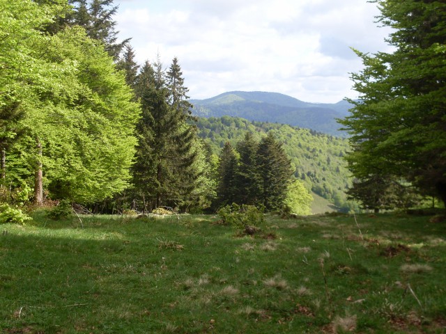 ballon d alsace - evette-salbert (19)