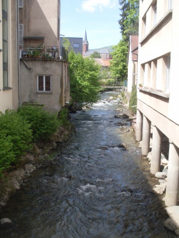 ballon d alsace - evette-salbert (26)