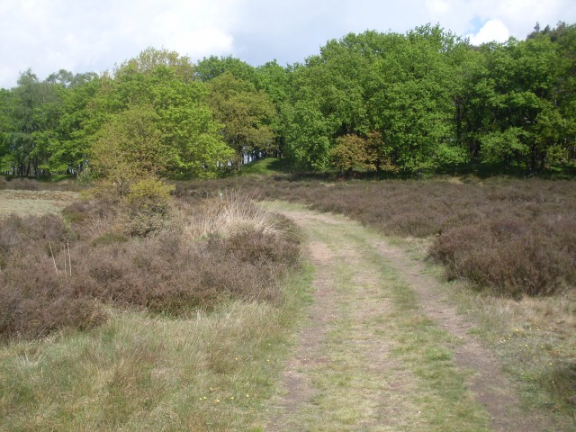 schaarsbergen koperen kop (14)
