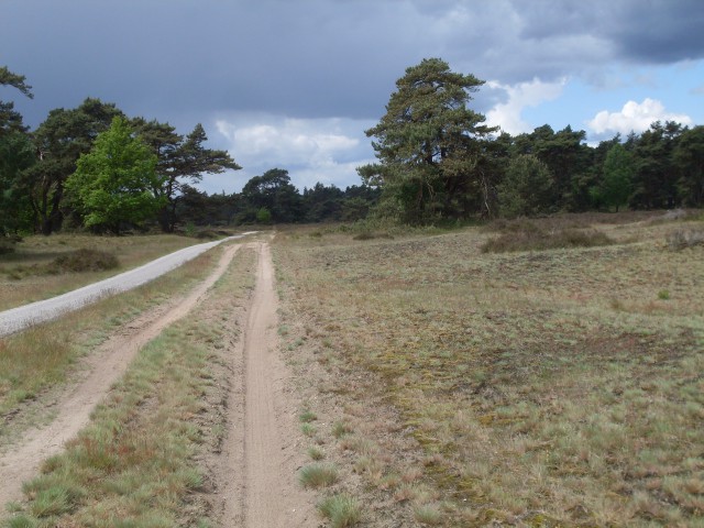 schaarsbergen koperen kop (19)