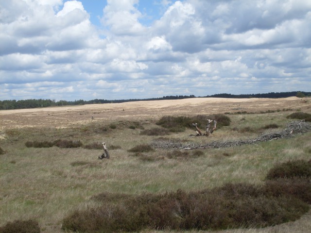 schaarsbergen koperen kop (25)