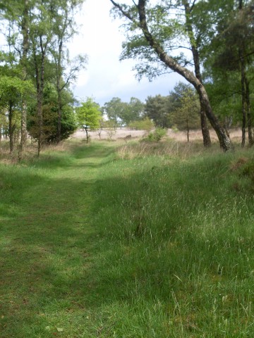 schaarsbergen koperen kop (9)