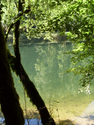 goumois - la rasse (10)