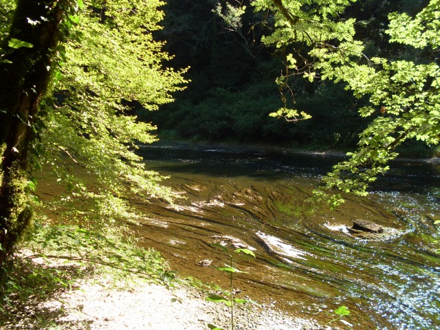goumois - la rasse (15)
