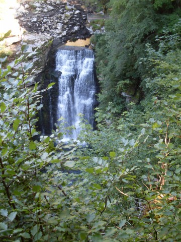 la rasse - les brenets (15)