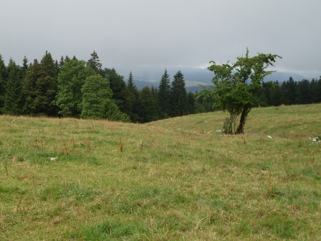 hopitaux - mouthe (11)