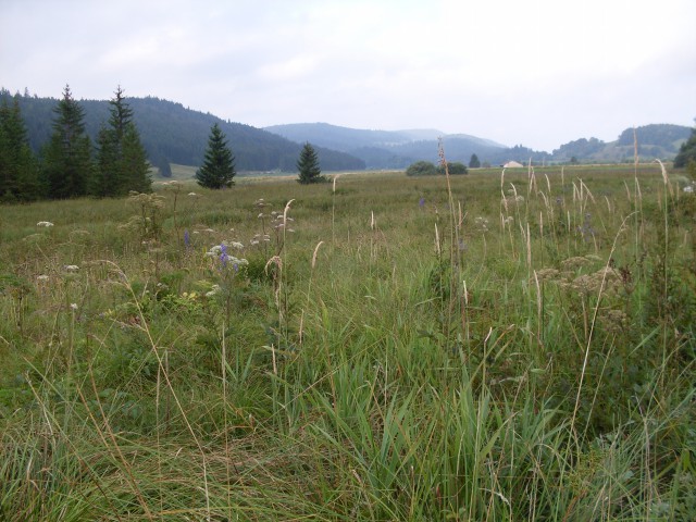 mouthe - chapelle des bois (6)