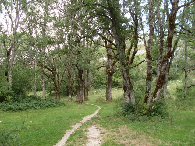 pontarlier - roche sarrasine (6)
