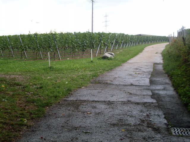 trelex - nyon (4)