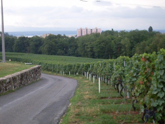 trelex - nyon (5)