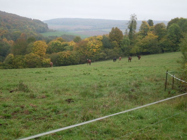 vandieres montauville (9)