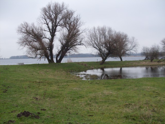 zaaandam amsterdam (42)