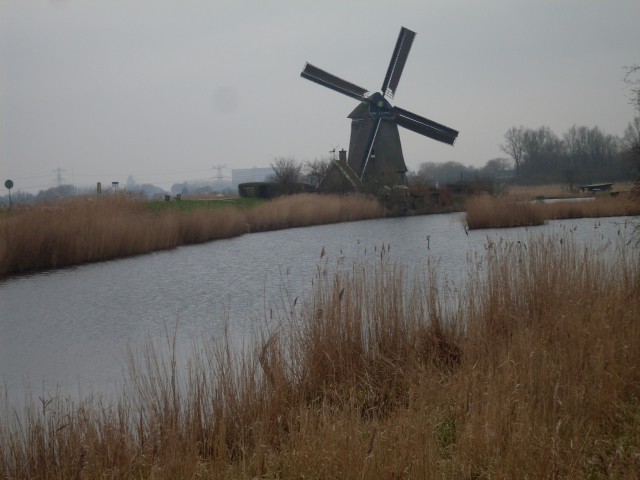 zaaandam amsterdam (45)