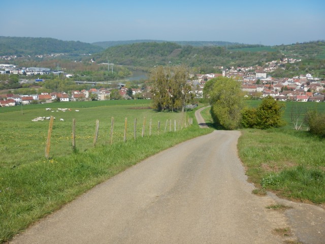 custines - brin (5)