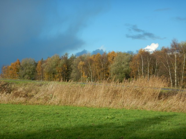 schellingwoude-gaasperplas-22